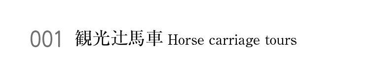 001 観光辻馬車 Horse carriage tours